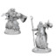 Nolzurs Marvelous Miniatures - Human Wizard